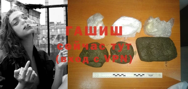 гашик Алексеевка