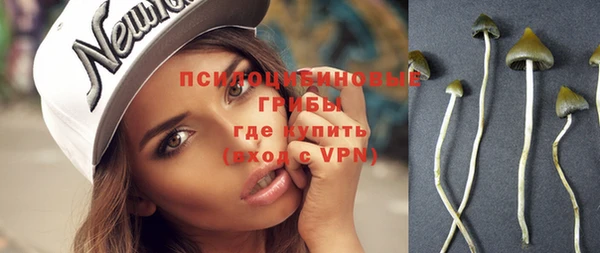 дживик Абинск