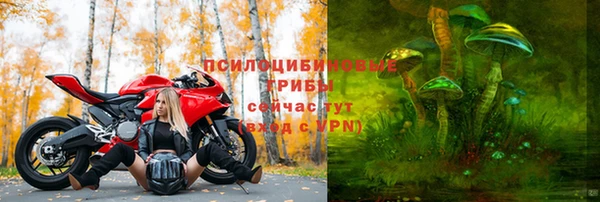 spice Абаза