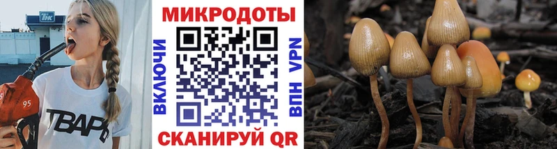 Псилоцибиновые грибы Psilocybine cubensis  Спас-Клепики 